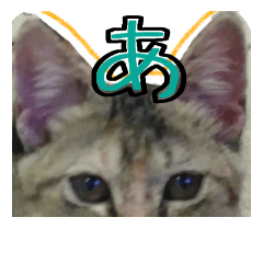 kitty Miyu3
