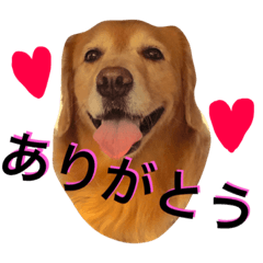golden stamp