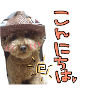 i love purin2