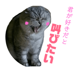 PEPEnyan