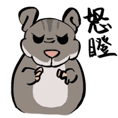 鼓頰鼠日常