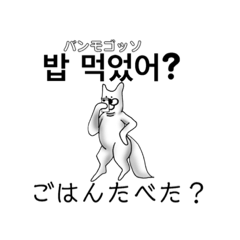 韓国語と日本語を使う柴犬♡1