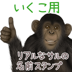 Ikuko Monkey's real name Sticker