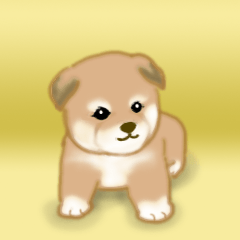 Puppy of Akita dog 2