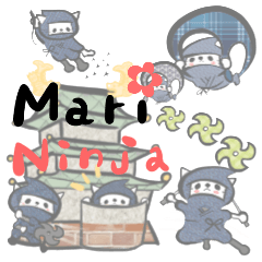 (Mari) Cat ninja sticker