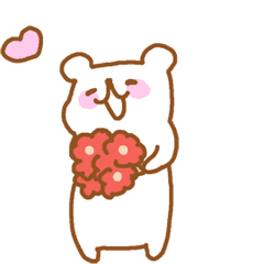 hoyo kuma