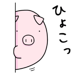 Bu-chan of piglet 7