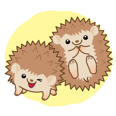 Hedgehog lucu