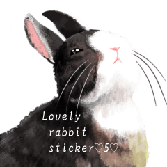 Lovely rabbit sticker!5