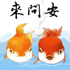金魚（中国風）2-日常会話