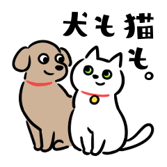 犬も猫も。