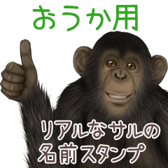 Ouka Monkey's real name Sticker