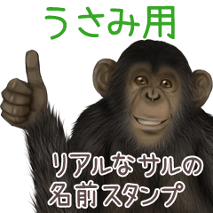 Usami Monkey's real name Sticker