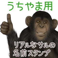 Uchiyama Monkey's real name Sticker