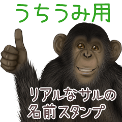 Uchiumi Monkey's real name Sticker