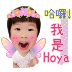 Hoya expression