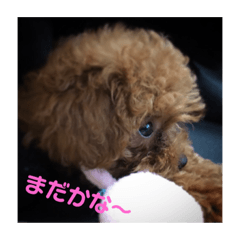 coochan_0129