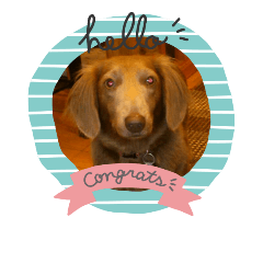 AdachshundDailylife's stamp of a marble.