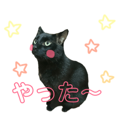yuzupon's life