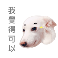汪娜喵