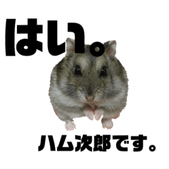 ハム次郎のスタンプ Line スタンプ Line Store