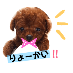 cherie chan