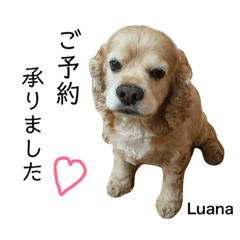 Luana ぷぷのスタンプ