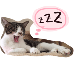 cat stamp cute