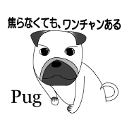 Word OF the dog