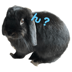 ロップ小町の毎日 Line スタンプ Line Store