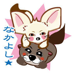 Cute fennec and otter