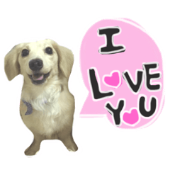 我是來自嘉義的臘腸-我叫尼莫