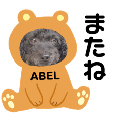 abelLIFE