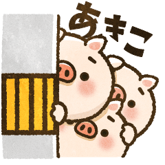 Idiot pig [Akiko]