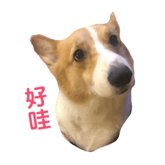 川兒是我