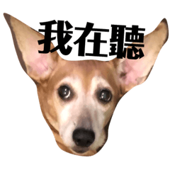 療癒系樂多劉