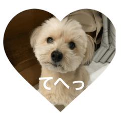 Love dogs!!