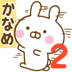 Rabbit Usahina kaname 2