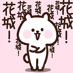 Hanashiro cute white bear