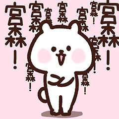 Miyamori cute white bear