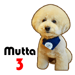 Doggy the Mutta3