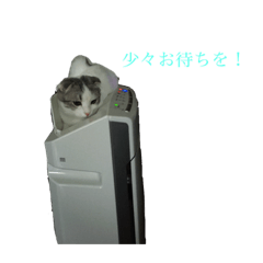 RINTARO  1