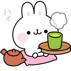 Soft words rabbit
