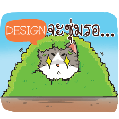 DESIGN cheeky cat e