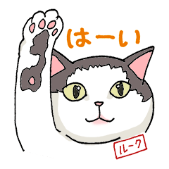 All cat Sticker"nekoto_3"