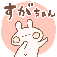 momochy Rabbit [Suga-chan] Name sticker