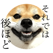 Kyutasticker12