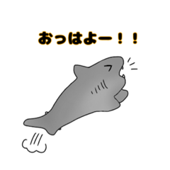 Shark and dried fish stamp