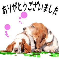 バセットハウンド犬 20 Line スタンプ Line Store