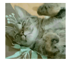 cute kate